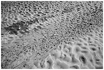 Sand and mud patterns, Courthouse Wash. Arches National Park ( black and white)