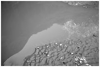 Mud and canyon reflection, Courthouse Wash. Arches National Park, Utah, USA. (black and white)