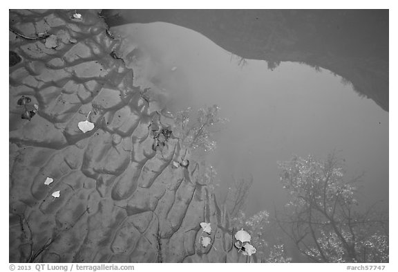 Mud and canyon reflected in pool Courthouse Wash. Arches National Park, Utah, USA.