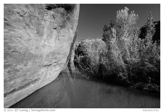 Cliff and vegetation reflected in stream, Courthouse Wash. Arches National Park, Utah, USA.