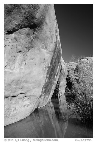 Sandstone cliffs reflected in stream, Courthouse Wash. Arches National Park (black and white)