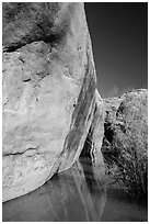 Sandstone cliffs reflected in stream, Courthouse Wash. Arches National Park, Utah, USA. (black and white)