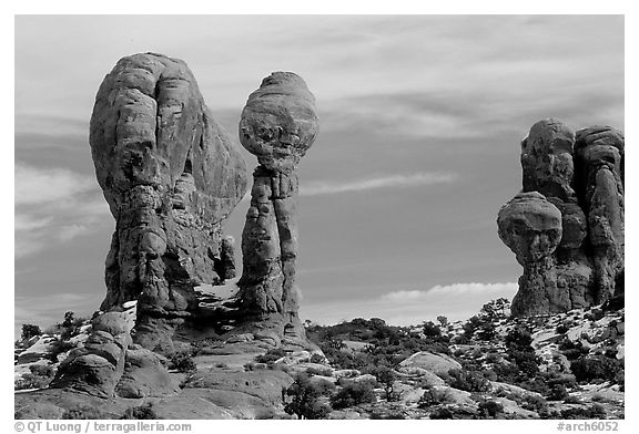 Balanced formations in Garden of Eden. Arches National Park (black and white)