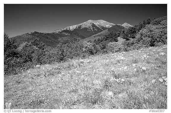 Meadow and distant peak, Mesa inclinado, North rim. Black Canyon of the Gunnison National Park (black and white)