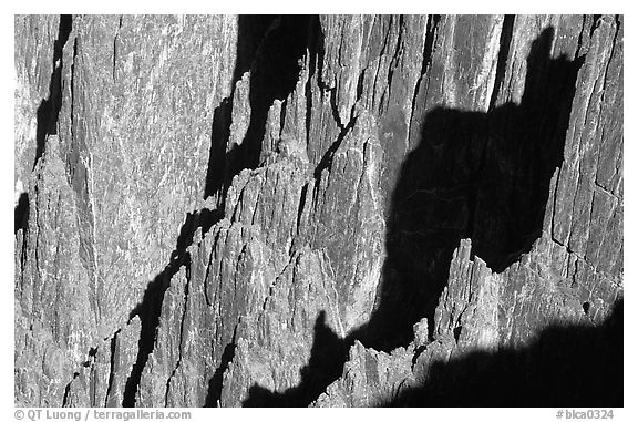 Detail of canyon wall from Kneeling Camel View, North Rim. Black Canyon of the Gunnison National Park (black and white)