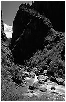 Gunisson river near the Narrows. Black Canyon of the Gunnison National Park, Colorado, USA. (black and white)