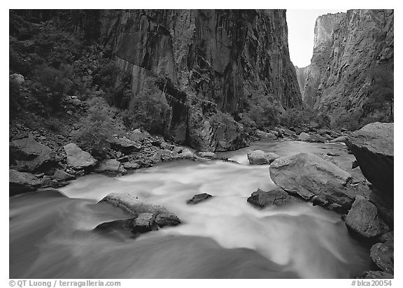 Gunisson River flowing beneath steep canyon walls. Black Canyon of the Gunnison National Park (black and white)