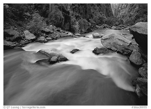 Gunisson river rapids near Narrows. Black Canyon of the Gunnison National Park, Colorado, USA.