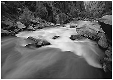 Gunisson river rapids near Narrows. Black Canyon of the Gunnison National Park, Colorado, USA. (black and white)