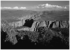 Canyon from  North vista trail. Black Canyon of the Gunnison National Park, Colorado, USA. (black and white)