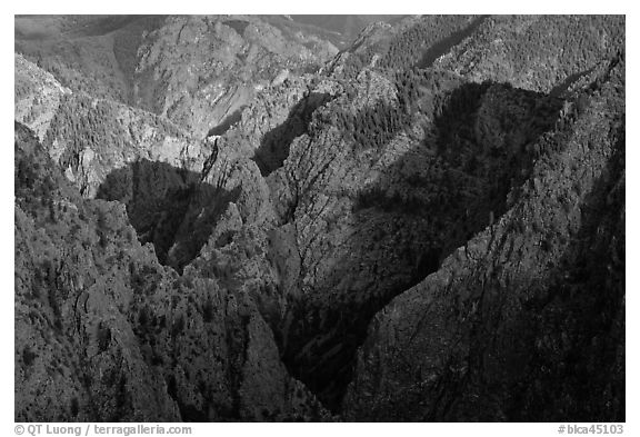Canyon buttres from Tomichi Point. Black Canyon of the Gunnison National Park (black and white)
