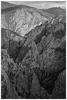 Tomichi Point view, late afternoon. Black Canyon of the Gunnison National Park, Colorado, USA. (black and white)