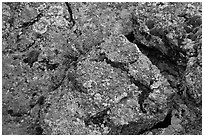 Gneiss and lichen. Black Canyon of the Gunnison National Park, Colorado, USA. (black and white)