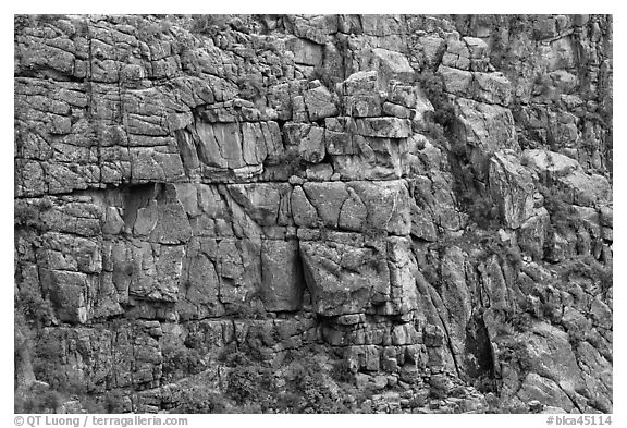 Fractured rock wall. Black Canyon of the Gunnison National Park (black and white)