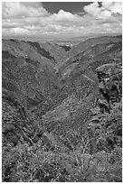 Sunset View. Black Canyon of the Gunnison National Park, Colorado, USA. (black and white)