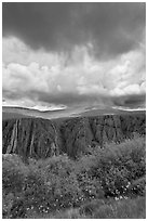 Flowers, canyon, and menacing clouds, Gunnison Point. Black Canyon of the Gunnison National Park, Colorado, USA. (black and white)