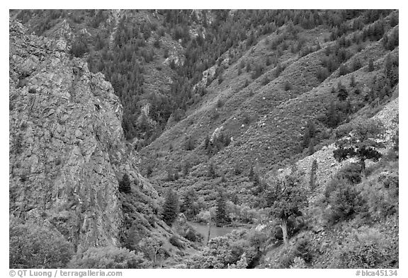 East Portal in spring. Black Canyon of the Gunnison National Park, Colorado, USA.