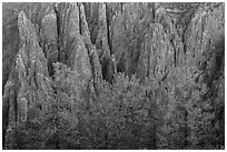 Pegmatite dikes. Black Canyon of the Gunnison National Park, Colorado, USA. (black and white)