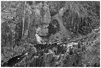 Gunnison River in autumn from above. Black Canyon of the Gunnison National Park, Colorado, USA. (black and white)