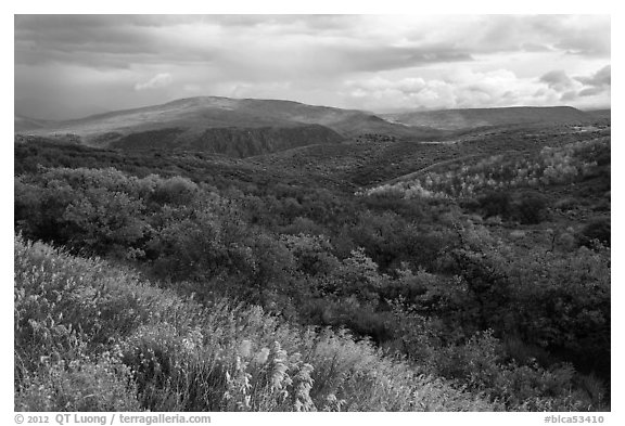 Rolling hills and storm in autumn. Black Canyon of the Gunnison National Park, Colorado, USA.