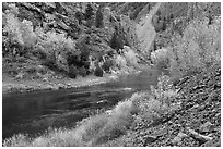 Gunnison river in fall, East Portal. Black Canyon of the Gunnison National Park, Colorado, USA. (black and white)