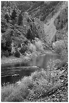 Gunnison river in autumn, East Portal. Black Canyon of the Gunnison National Park, Colorado, USA. (black and white)