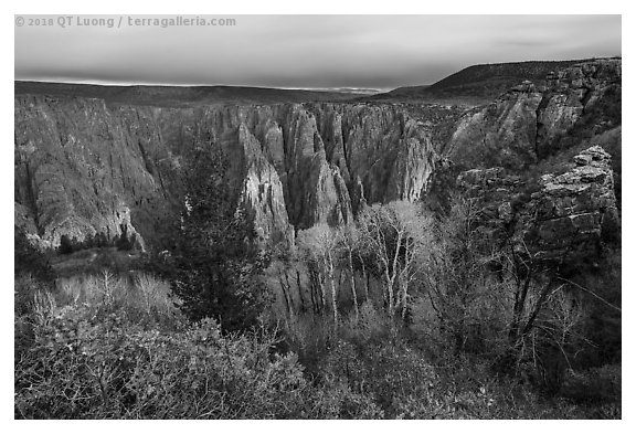 Canyon view with gambel oak and aspen in fall foliage. Black Canyon of the Gunnison National Park (black and white)