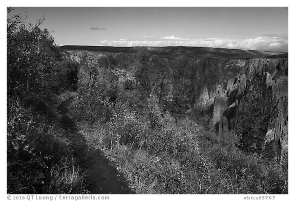 Oak Flat Trail. Black Canyon of the Gunnison National Park (black and white)