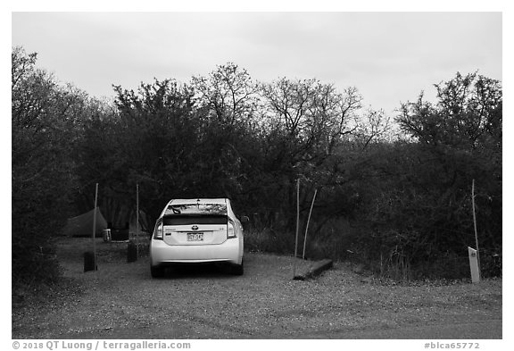 South Rim Campground. Black Canyon of the Gunnison National Park (black and white)