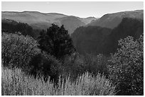 Tomichi Point in the autumn. Black Canyon of the Gunnison National Park ( black and white)