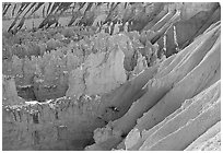 Eroded slopes and Hoodoos from Sunrise Point. Bryce Canyon National Park, Utah, USA. (black and white)