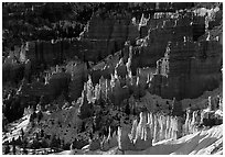 Shadows and lights, Bryce Amphitheater from Sunrise Point, morning. Bryce Canyon National Park, Utah, USA. (black and white)