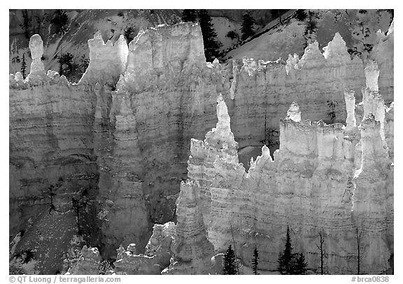 Backlit Hoodoos, mid-morning. Bryce Canyon National Park (black and white)