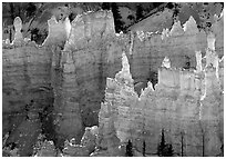 Backlit Hoodoos, mid-morning. Bryce Canyon National Park, Utah, USA. (black and white)