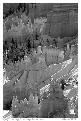 Snowy ridges and hoodoos, Bryce Amphitheater, early morning. Bryce Canyon National Park, Utah, USA.