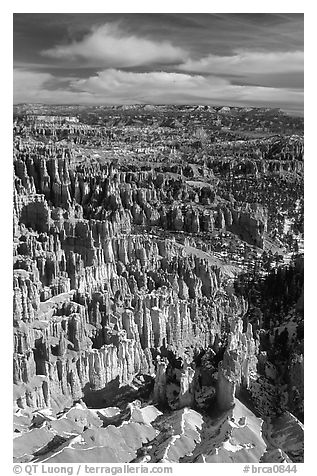 Silent City in Bryce Amphitheater from Bryce Point, morning. Bryce Canyon National Park (black and white)
