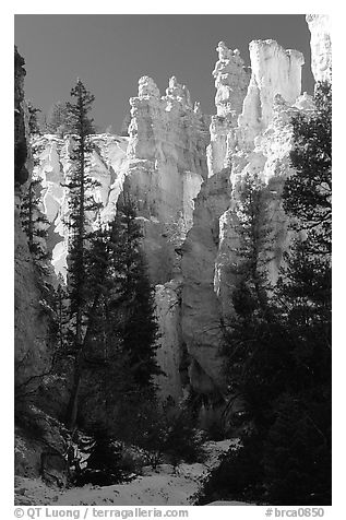 Hoodoos seen from  Queen's garden Trail. Bryce Canyon National Park (black and white)