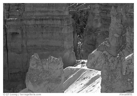 Navajo Trail in winter. Bryce Canyon National Park (black and white)