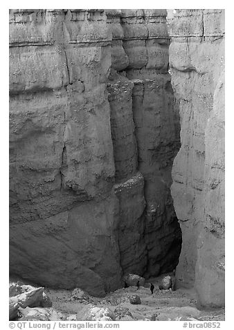 Navajo Trail descending between Hoodoos. Bryce Canyon National Park (black and white)