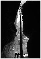 Hikers at the base of tall tree in Wall Street Gorge. Bryce Canyon National Park ( black and white)