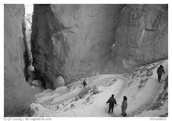 Hikers descending trail in Wall Street Gorge. Bryce Canyon National Park, Utah, USA.