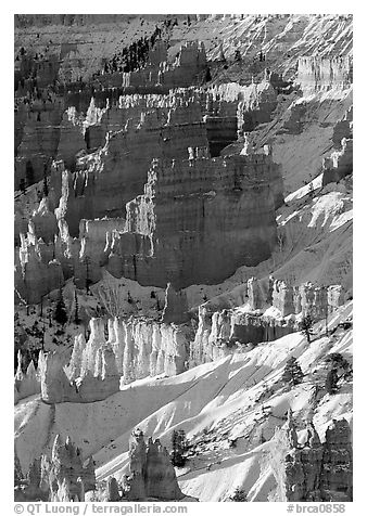 Bryce Amphitheater from Sunrise Point, winter sunrise. Bryce Canyon National Park (black and white)