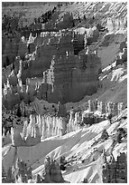 Bryce Amphitheater from Sunrise Point, winter sunrise. Bryce Canyon National Park, Utah, USA. (black and white)