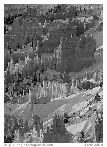 Hoodoos and snow from Sunrise Point,  winter sunrise. Bryce Canyon National Park (black and white)