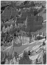 Hoodoos and snow from Sunrise Point,  winter sunrise. Bryce Canyon National Park ( black and white)