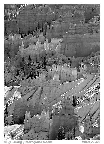 Sandstone rock pillars seen from Sunrise Point in winter, mid-morning. Bryce Canyon National Park (black and white)