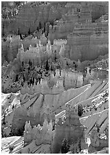 Hoodoos glowing in Bryce Amphitheater, early morning. Bryce Canyon National Park, Utah, USA. (black and white)