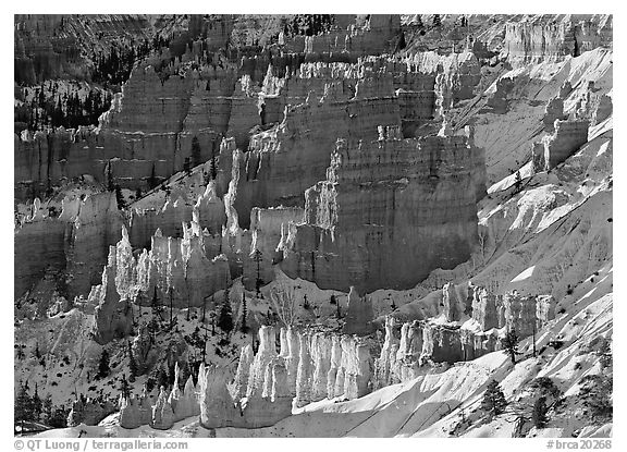 Rock spires and snow  seen from Sunrise Point in winter, early morning. Bryce Canyon National Park (black and white)