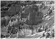 Rock spires and snow seen from Sunrise Point in winter, early morning. Bryce Canyon National Park ( black and white)