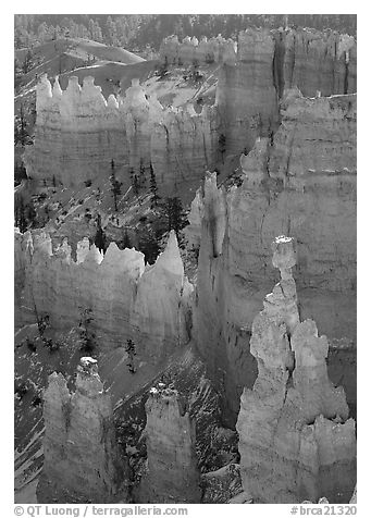 Thor Hammer and hoodoos, mid-morning. Bryce Canyon National Park (black and white)